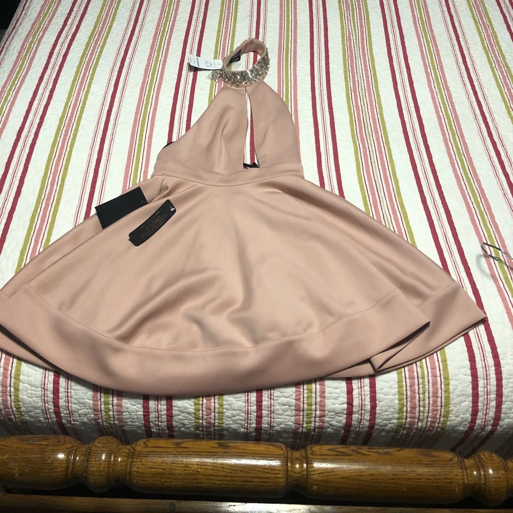 BEBE Blush Pink Plunging Neckline dress